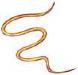 Intestinal Parasites Intestinal Parasites