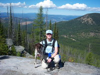 Wandermere Animal Hospital Dr. McCorkle Wandermere Animal Hospital Dr. McCorkle