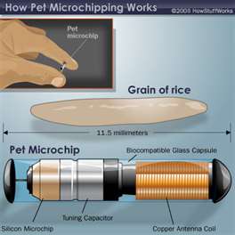 Microchips